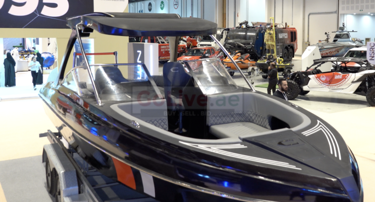 ⚡⚡ E-Sea Rider: 100 % Electric BOWRIDER ⚡⚡